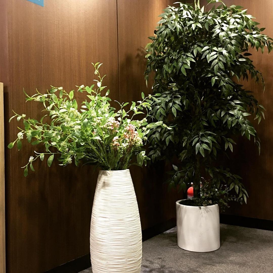 Philstay Myeongdong Station Σεούλ Εξωτερικό φωτογραφία
